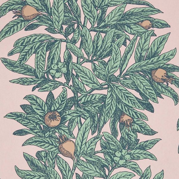 Osborne & Little Wallpaper Medlar W7458-01 | Allium Interiors