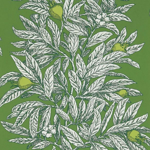 Osborne & Little Wallpaper Medlar W7458-05 | Allium Interiors
