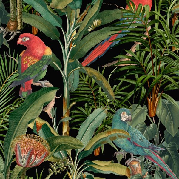Mind The Gap Wallpaper Parrots Of Brasil Anthracite | Allium Interiors