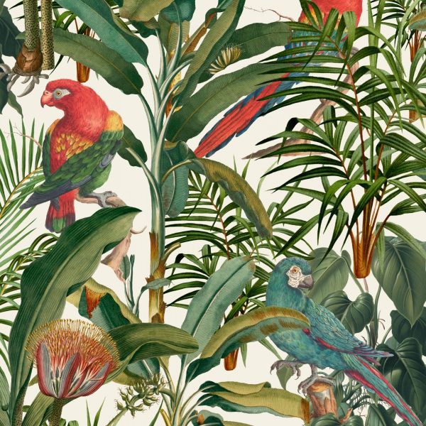 Mind The Gap Wallpaper Parrots Of Brasil Light | Allium Interiors