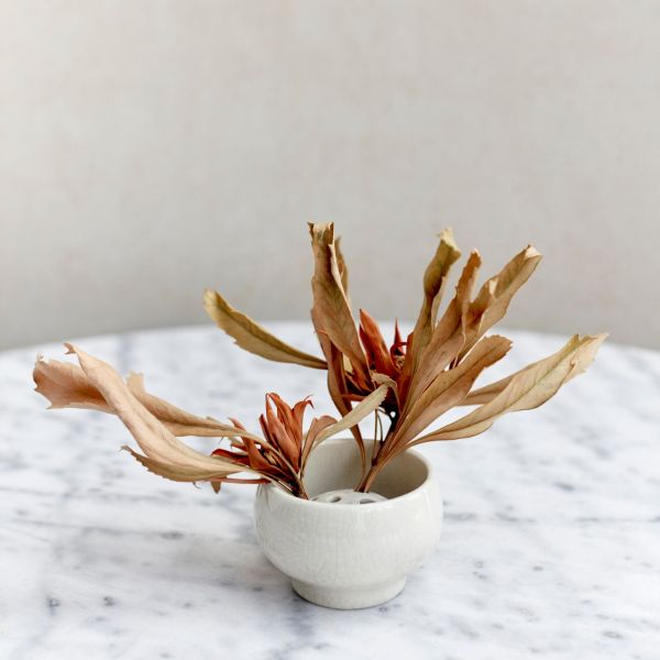 Robert Gordon The Arrangement  Ikebana Vase White Crackle | Allium Interiors