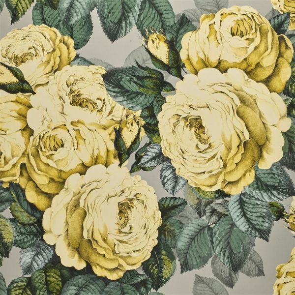John Derian Wallpaper The Rose Mimosa | Allium Interiors