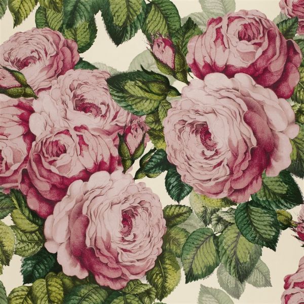 John Derian Wallpaper The Rose Tuberose | Allium Interiors
