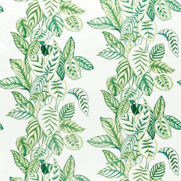 Sanderson Fabric Calathea Botanical Green  | Allium Interiors