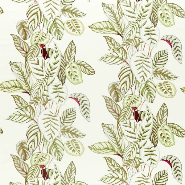 Sanderson Fabric Calathea Olive | Allium Interiors
