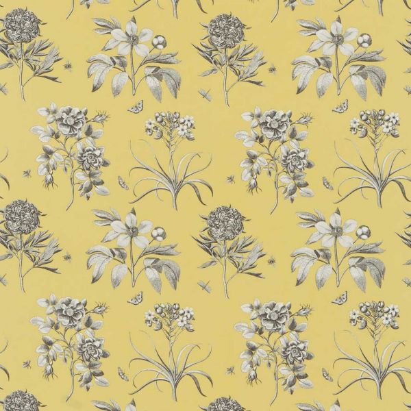 Sanderson Fabric Etchings And Roses Empire Yellow | Allium Interiors