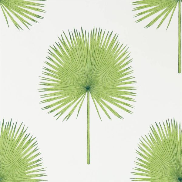 Sanderson Wallpaper Fan Palm Botanical Green | Allium Interiors