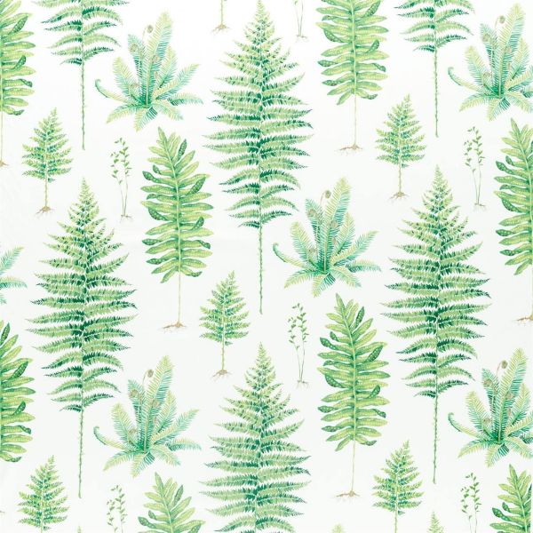 Sanderson Fabric Fernery Botanical Green | Allium Interiors