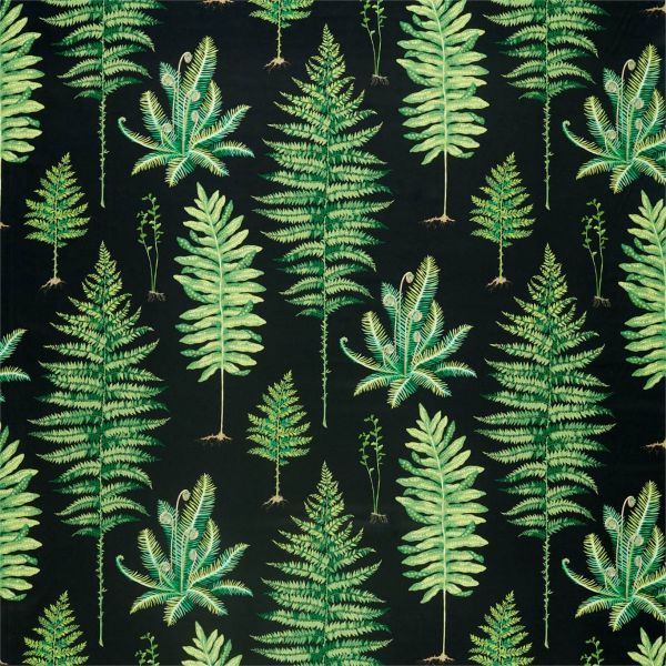 Sanderson Fabric Fernery Botanical Green/Charcoal | Allium Interiors