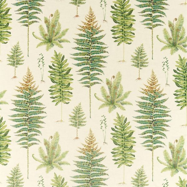 Sanderson Fabric Fernery Olive | Allium Interiors