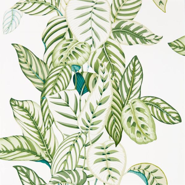 Sanderson Wallpaper Calathea Botanical Green | Allium Interiors