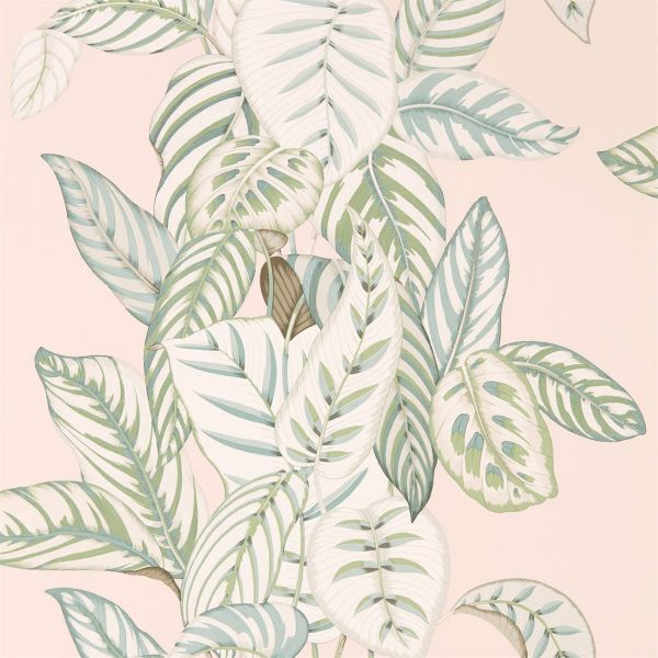 Sanderson Wallpaper Calathea Orchid/Eucalyptus | Allium Interiors