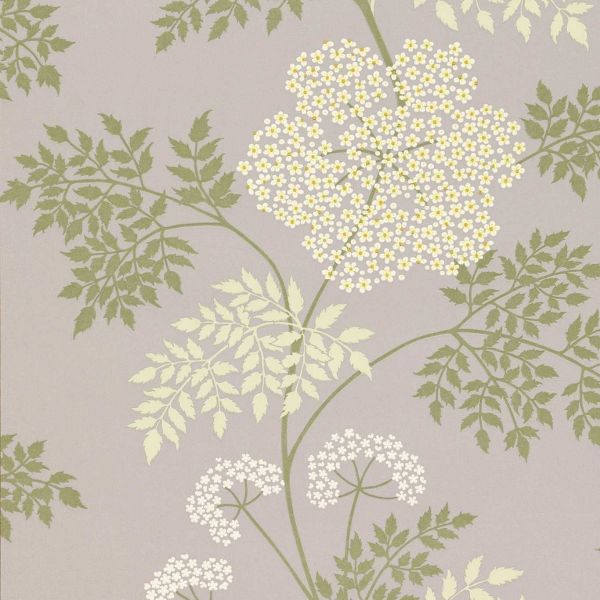 Sanderson Wallpaper Cowparsley Amethyst | Allium Interiors
