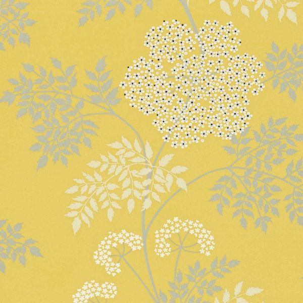 Sanderson Wallpaper Cowparsley Chinese Yellow | Allium Interiors