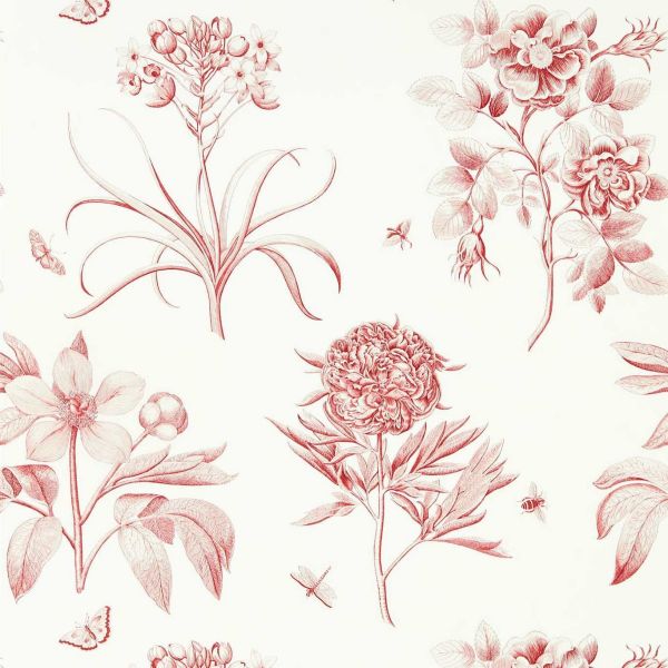Sanderson Wallpaper Etchings & Roses Amanouri Red | Allium Interiors