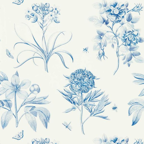 Sanderson Wallpaper Etchings & Roses China Blue | Allium Interiors