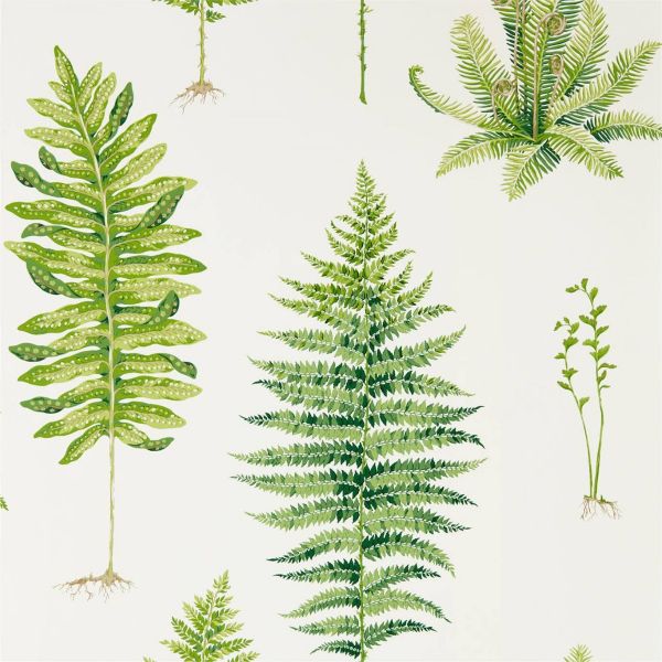 Sanderson Wallpaper Fernery Botanical Green | Allium Interiors