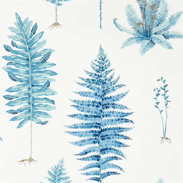 Sanderson Wallpaper Fernery China Blue | Allium Interiors
