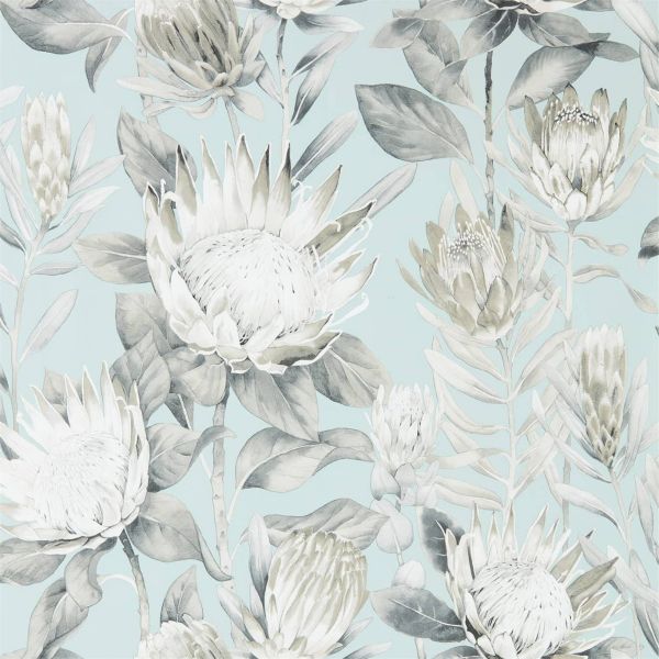 Sanderson Wallpaper King Protea Aqua/Linen | Allium Interiors