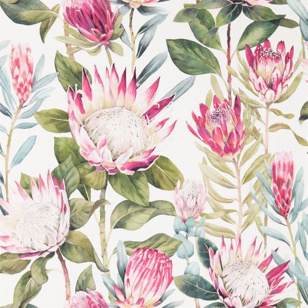 Sanderson Wallpaper King Protea Rhodera/Cream | Allium Interiors