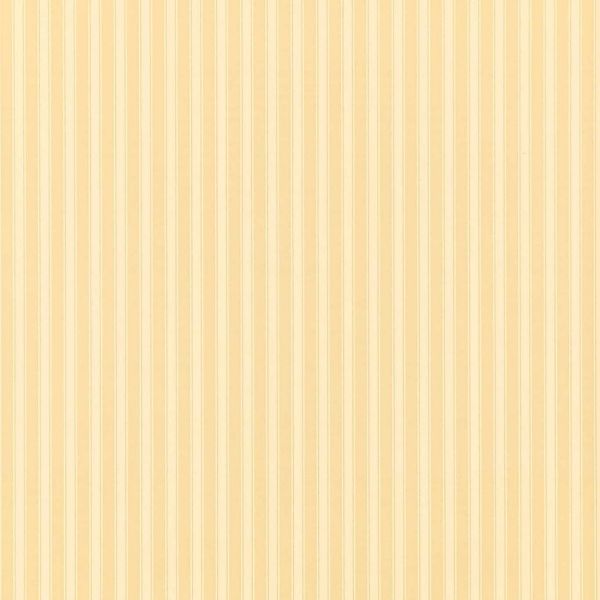 Sanderson Wallpaper New Tiger Stripe Honey/Cream | Allium Interiors