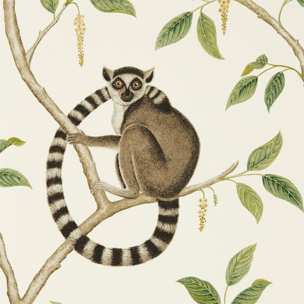 Sanderson Wallpaper Ringtailed Lemur Cream/Olive | Allium Interiors