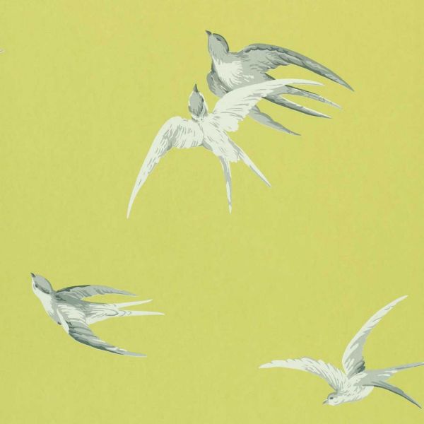 Sanderson Wallpaper Swallows Lime | Allium Interiors
