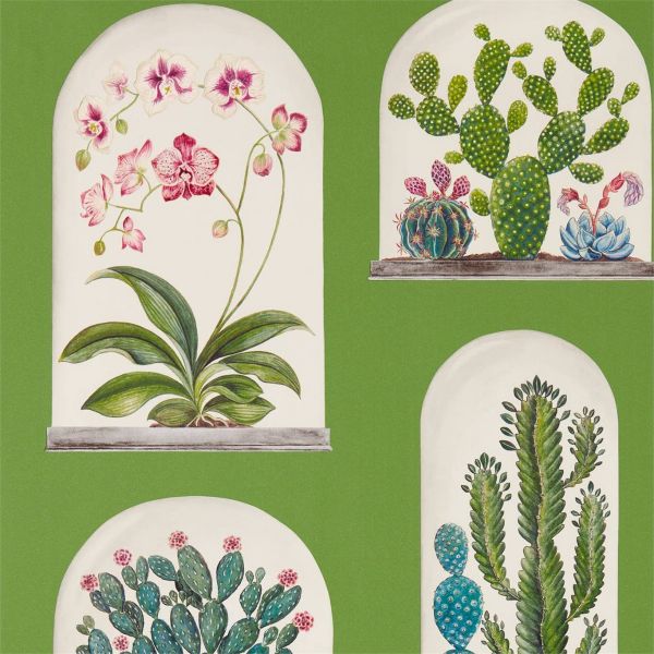 Sanderson Wallpaper Terrariums Botanical Green | Allium Interiors