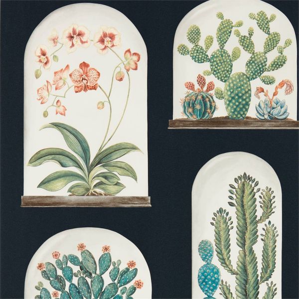 Sanderson Wallpaper Terrariums Ink | Allium Interiors
