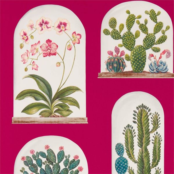 Sanderson Wallpaper Terrariums Rhodera | Allium Interiors