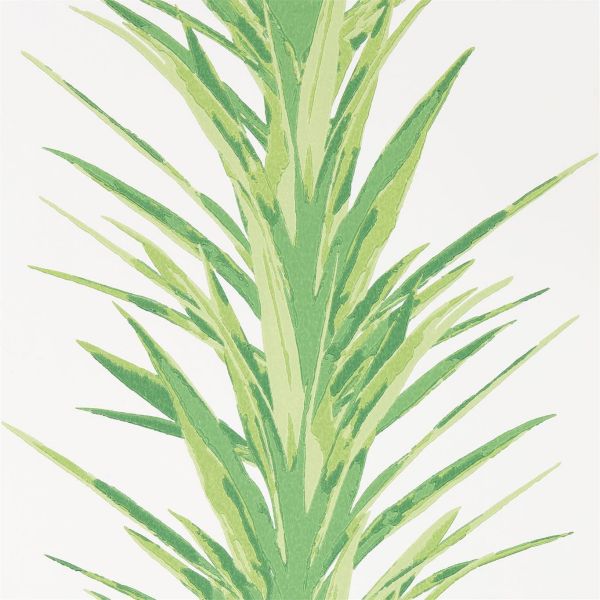 Sanderson Wallpaper Yucca Botanical Green | Allium Interiors