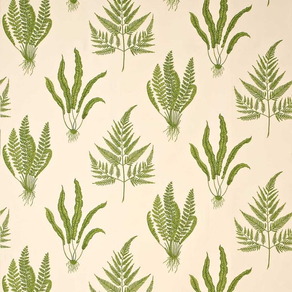 Sanderson Fabric Woodland Ferns Green | Allium Interiors