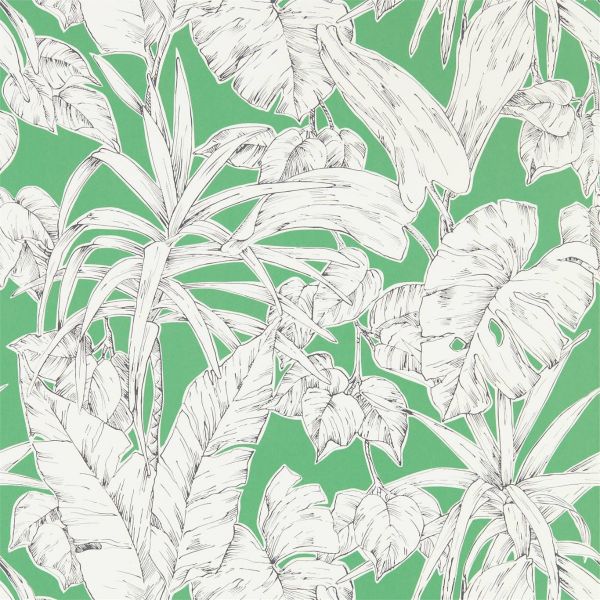 Scion Wallpaper Parlour Palm Gecko | Allium Interiors