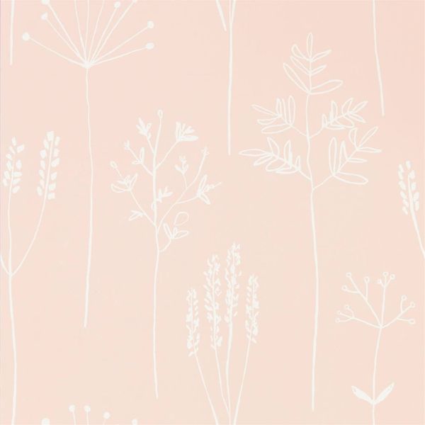 Scion Wallpaper Stipa Blush | Allium Interiors