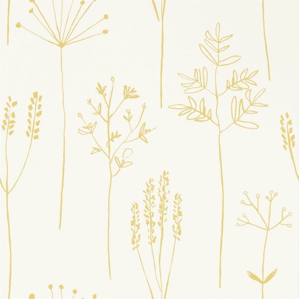 Scion Wallpaper Stipa Honey | Allium Interiors