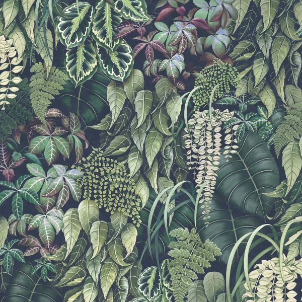 Osborne & Little Wallpaper Green Wall 02 | Allium Interiors