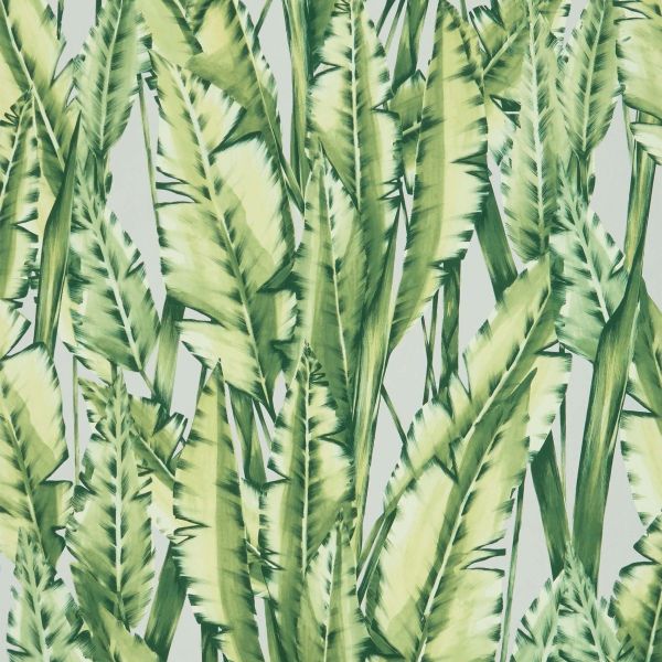 Osborne & Little Wallpaper Tiger Leaf Mid Green | Allium Interiors