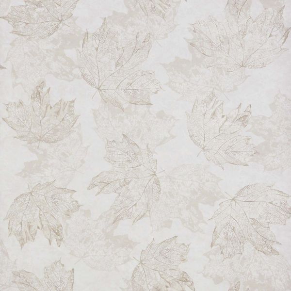 Osborne & Little Wallpaper Sycamore Stone | Allium Interiors