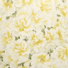 John Derian Wallpaper Variegated Azalea Mimosa
