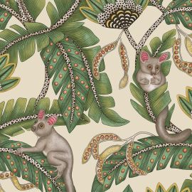 Cole And Son Wallpaper Bush Baby 119/7035