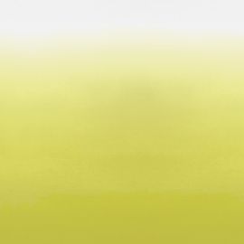 Designers Guild Wallpaper Saraille Acacia