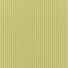Designers Guild Fabric Albemarle Stripe Lime