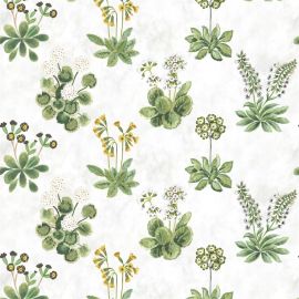 Designers Guild Fabric Primevère Sage