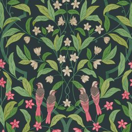Cole And Son Wallpaper Jasmine & Serin Symphony 117/10028
