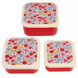 Rex Tilde Snack Boxes