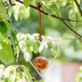 Sophie Conran Gardening Apple Bird Feeder Heart