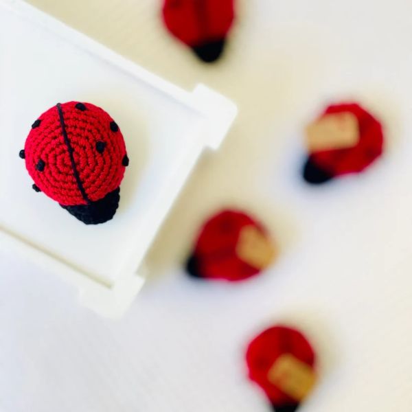 Above Rubies Lady Bug | Allium Interiors