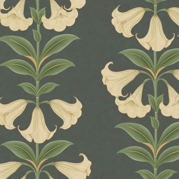 Cole And Son Wallpaper Angel's Trumpet 117/3006 | Allium Interiors