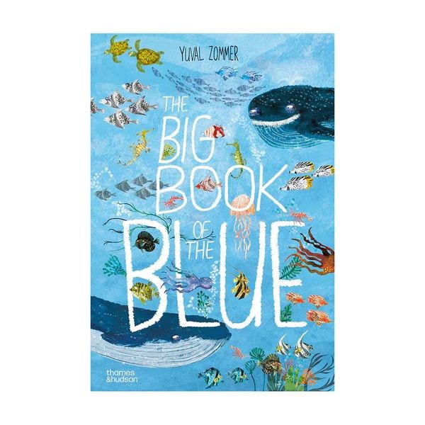 The Big Book of the Blue by Yuval Zommer | Allium Interiors