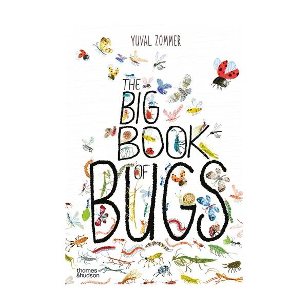 The Big Book of the Bugs by Yuval Zommer | Allium Interiors